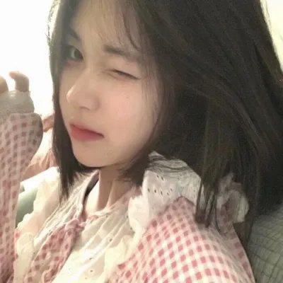 四光猪现蠢记
